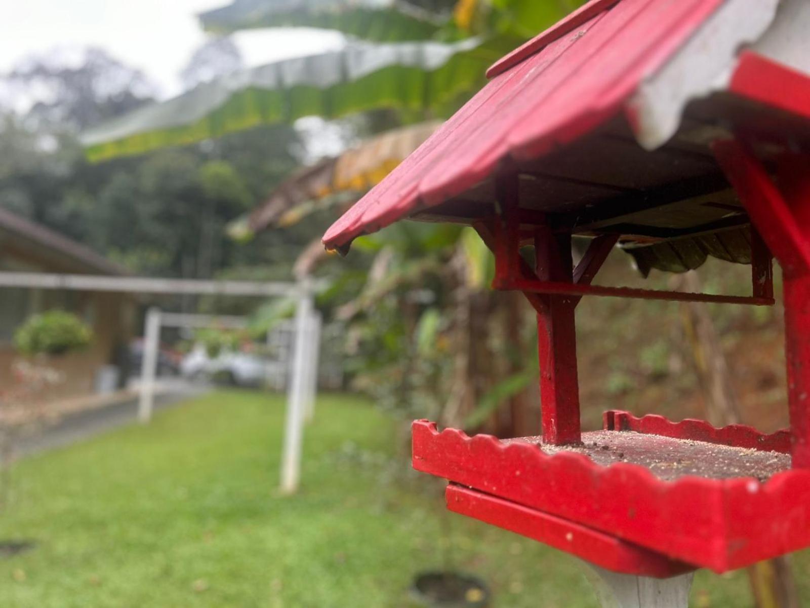 Bela Vista Hospedagem Joinville Zewnętrze zdjęcie